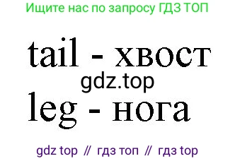 ГДЗ Английский язык (english), 3 класс рабочая тетрадь, авторы: Комарова Юлия Александровна, Ларионова Ирина Владимировна, издательство Русское слово, Москва, 2022, голубого цвета, страница 21, номер 5, Решение (продолжение 2)