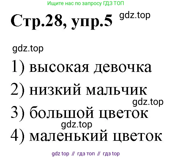 ГДЗ Английский язык (english), 3 класс рабочая тетрадь, авторы: Комарова Юлия Александровна, Ларионова Ирина Владимировна, издательство Русское слово, Москва, 2022, голубого цвета, страница 28, номер 5, Решение