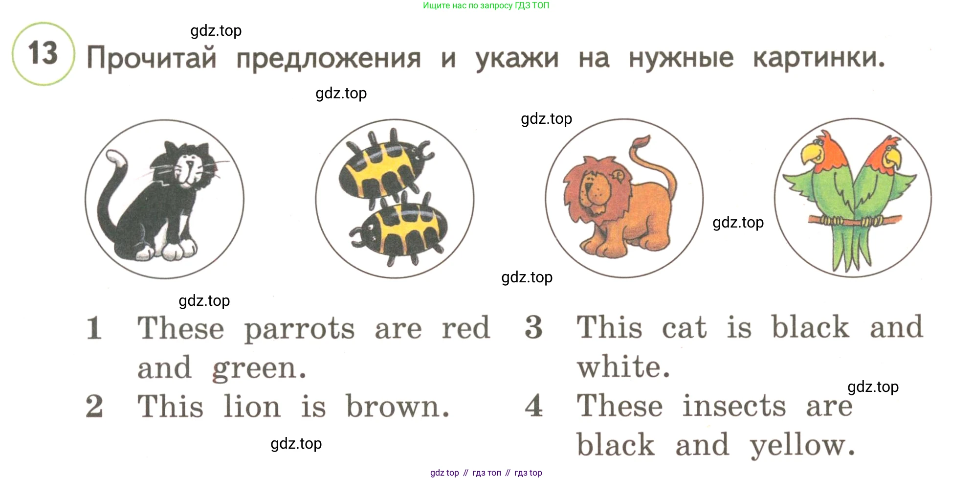ГДЗ Английский язык (english), 3 класс Учебник, авторы: Комарова Юлия Александровна, Ларионова Ирина Владимировна, издательство Русское слово, Москва, 2022, белого цвета, страница 24, номер 13, Условие