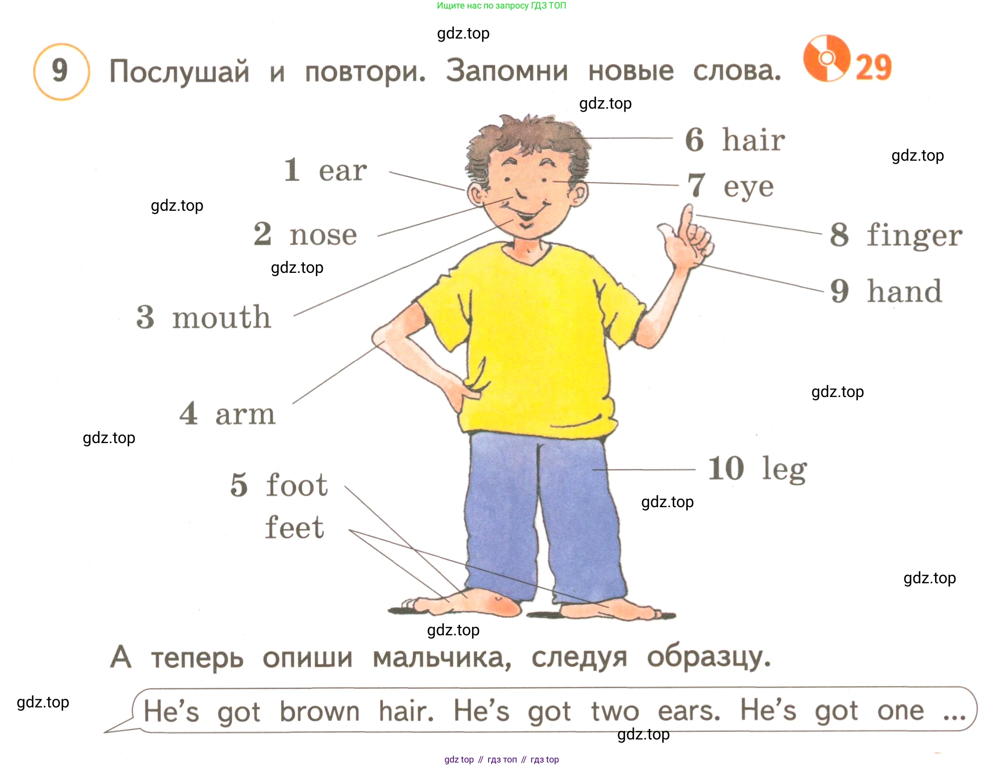 ГДЗ Английский язык (english), 3 класс Учебник, авторы: Комарова Юлия Александровна, Ларионова Ирина Владимировна, издательство Русское слово, Москва, 2022, белого цвета, страница 31, номер 9, Условие