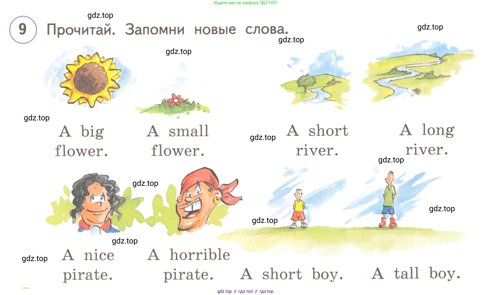 ГДЗ Английский язык (english), 3 класс Учебник, авторы: Комарова Юлия Александровна, Ларионова Ирина Владимировна, издательство Русское слово, Москва, 2022, белого цвета, страница 39, номер 9, Условие