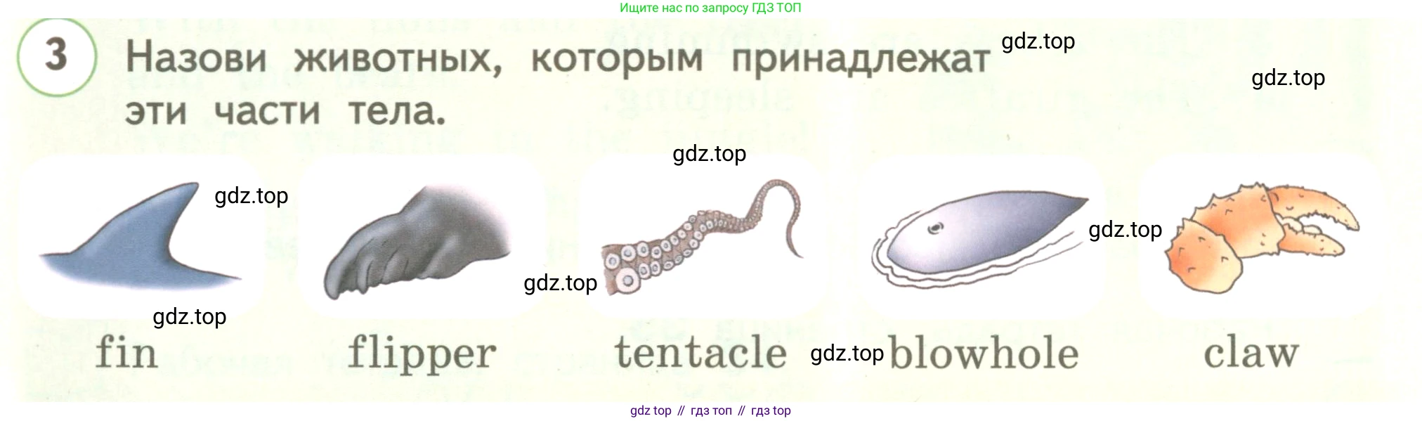 ГДЗ Английский язык (english), 3 класс Учебник, авторы: Комарова Юлия Александровна, Ларионова Ирина Владимировна, издательство Русское слово, Москва, 2022, белого цвета, страница 50, номер 3, Условие
