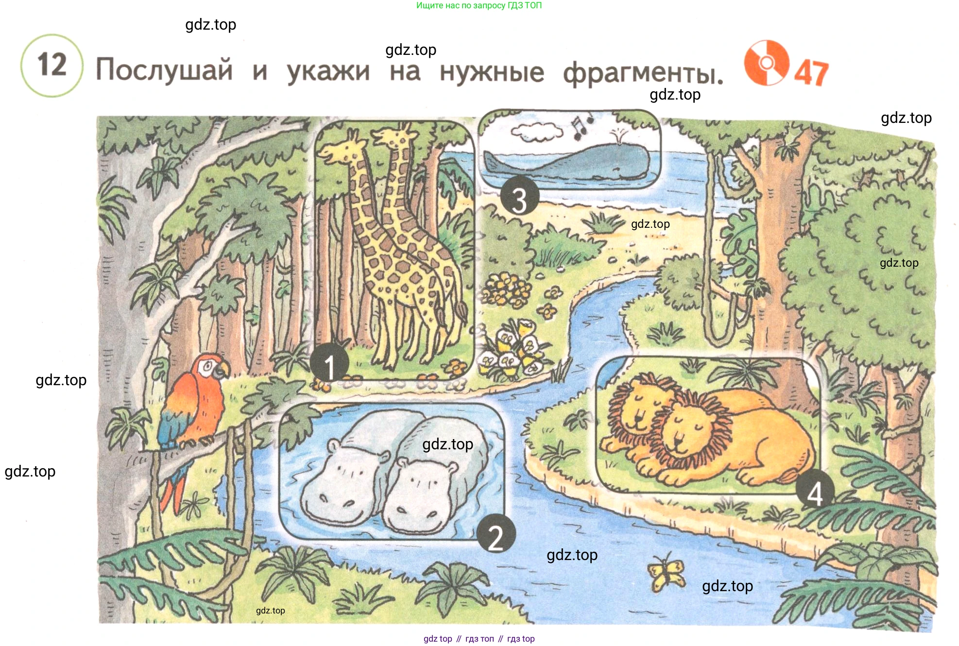 ГДЗ Английский язык (english), 3 класс Учебник, авторы: Комарова Юлия Александровна, Ларионова Ирина Владимировна, издательство Русское слово, Москва, 2022, белого цвета, страница 48, номер 12, Условие