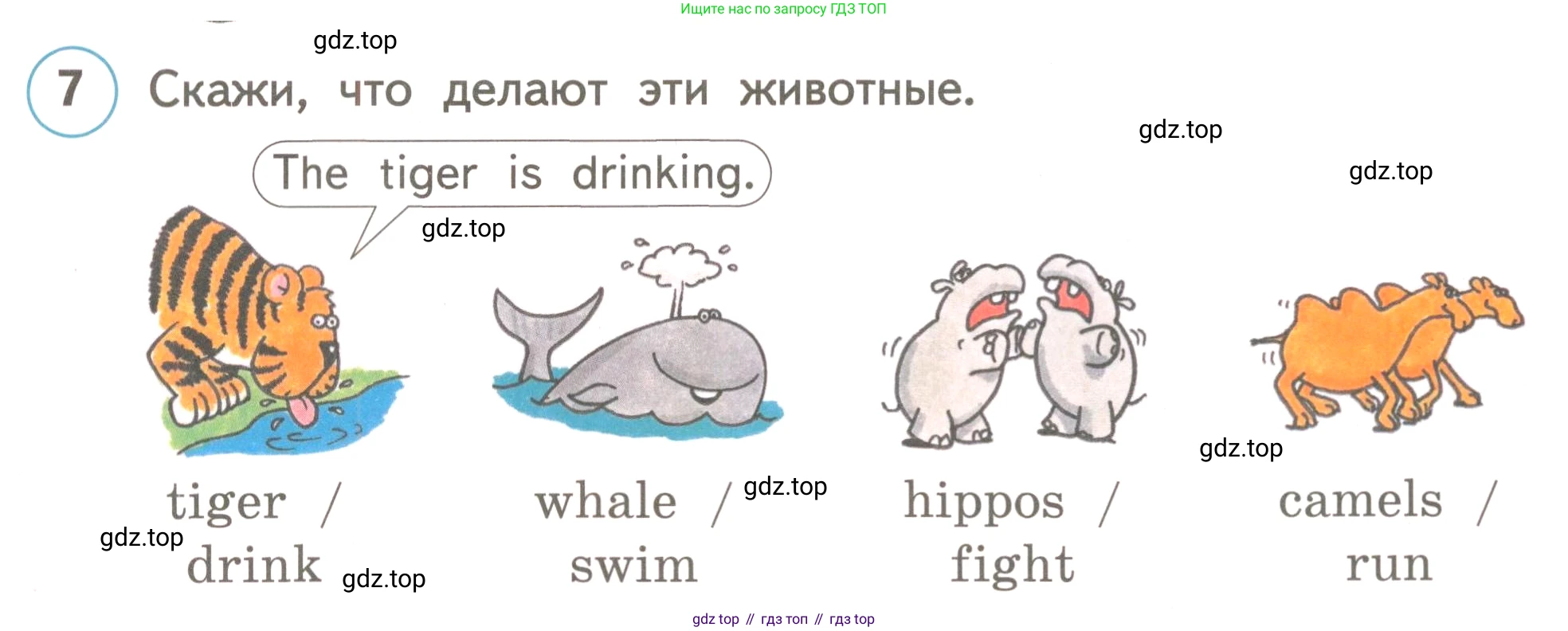 ГДЗ Английский язык (english), 3 класс Учебник, авторы: Комарова Юлия Александровна, Ларионова Ирина Владимировна, издательство Русское слово, Москва, 2022, белого цвета, страница 46, номер 7, Условие