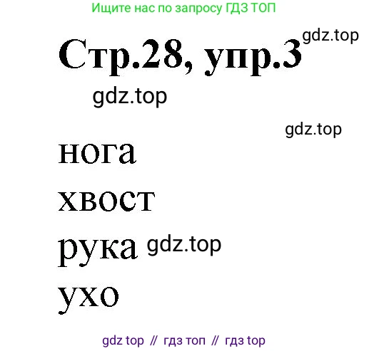 ГДЗ Английский язык (english), 3 класс Учебник, авторы: Комарова Юлия Александровна, Ларионова Ирина Владимировна, издательство Русское слово, Москва, 2022, белого цвета, страница 28, номер 3, Решение