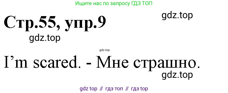 ГДЗ Английский язык (english), 3 класс Учебник, авторы: Комарова Юлия Александровна, Ларионова Ирина Владимировна, издательство Русское слово, Москва, 2022, белого цвета, страница 55, номер 9, Решение