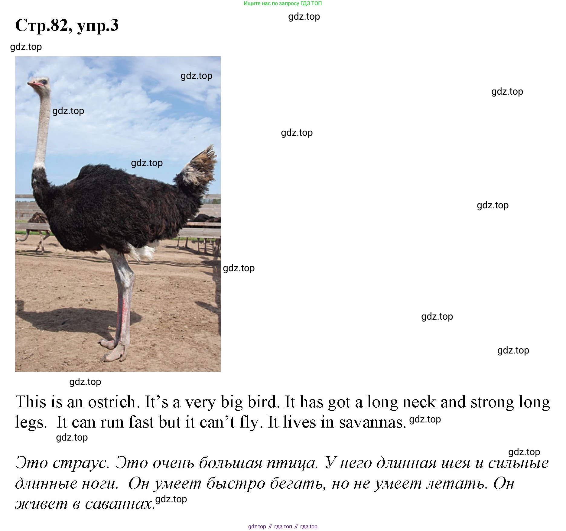 ГДЗ Английский язык (english), 3 класс Учебник, авторы: Комарова Юлия Александровна, Ларионова Ирина Владимировна, издательство Русское слово, Москва, 2022, белого цвета, страница 82, номер 3, Решение