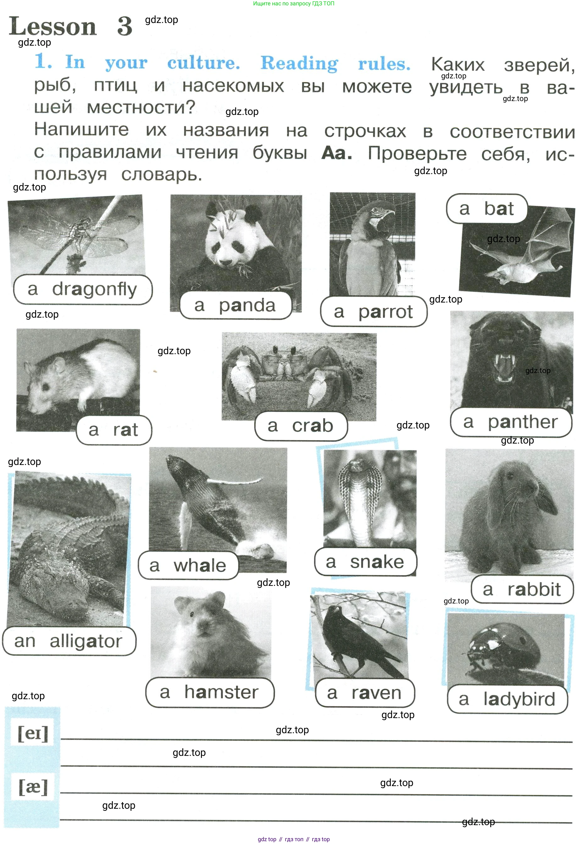 ГДЗ Английский язык (english), 3 класс рабочая тетрадь (activity book), авторы: Кузовлев Владимир Петрович (Kuzovlev Vladimir), Лапа Наталья Михайловна, Костина Ирина Павловна, Кузнецова Елена Вячеславовна, издательство Просвещение, Москва, 2023, страница 8, номер 1, Условие