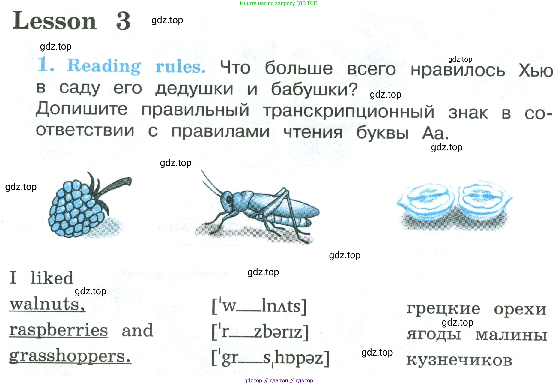 ГДЗ Английский язык (english), 3 класс рабочая тетрадь (activity book), авторы: Кузовлев Владимир Петрович (Kuzovlev Vladimir), Лапа Наталья Михайловна, Костина Ирина Павловна, Кузнецова Елена Вячеславовна, издательство Просвещение, Москва, 2023, страница 80, номер 1, Условие