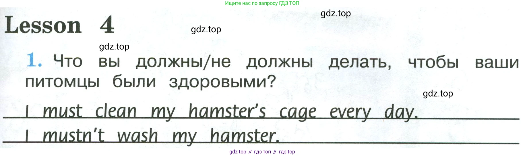 ГДЗ Английский язык (english), 3 класс рабочая тетрадь (activity book), авторы: Кузовлев Владимир Петрович (Kuzovlev Vladimir), Лапа Наталья Михайловна, Костина Ирина Павловна, Кузнецова Елена Вячеславовна, издательство Просвещение, Москва, 2023, страница 81, номер 1, Условие