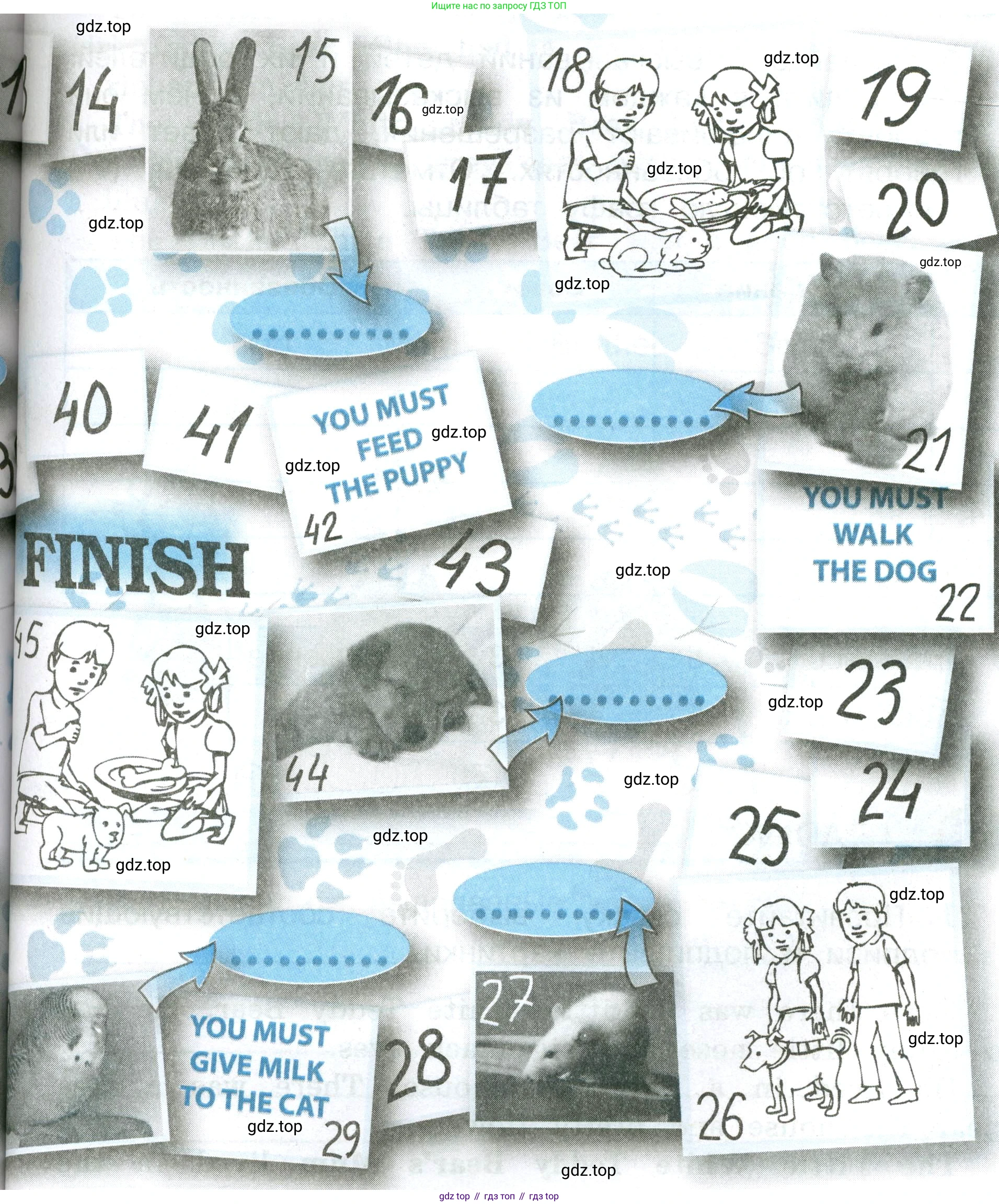 ГДЗ Английский язык (english), 3 класс рабочая тетрадь (activity book), авторы: Кузовлев Владимир Петрович (Kuzovlev Vladimir), Лапа Наталья Михайловна, Костина Ирина Павловна, Кузнецова Елена Вячеславовна, издательство Просвещение, Москва, 2023, страница 82, номер 2, Условие (продолжение 2)