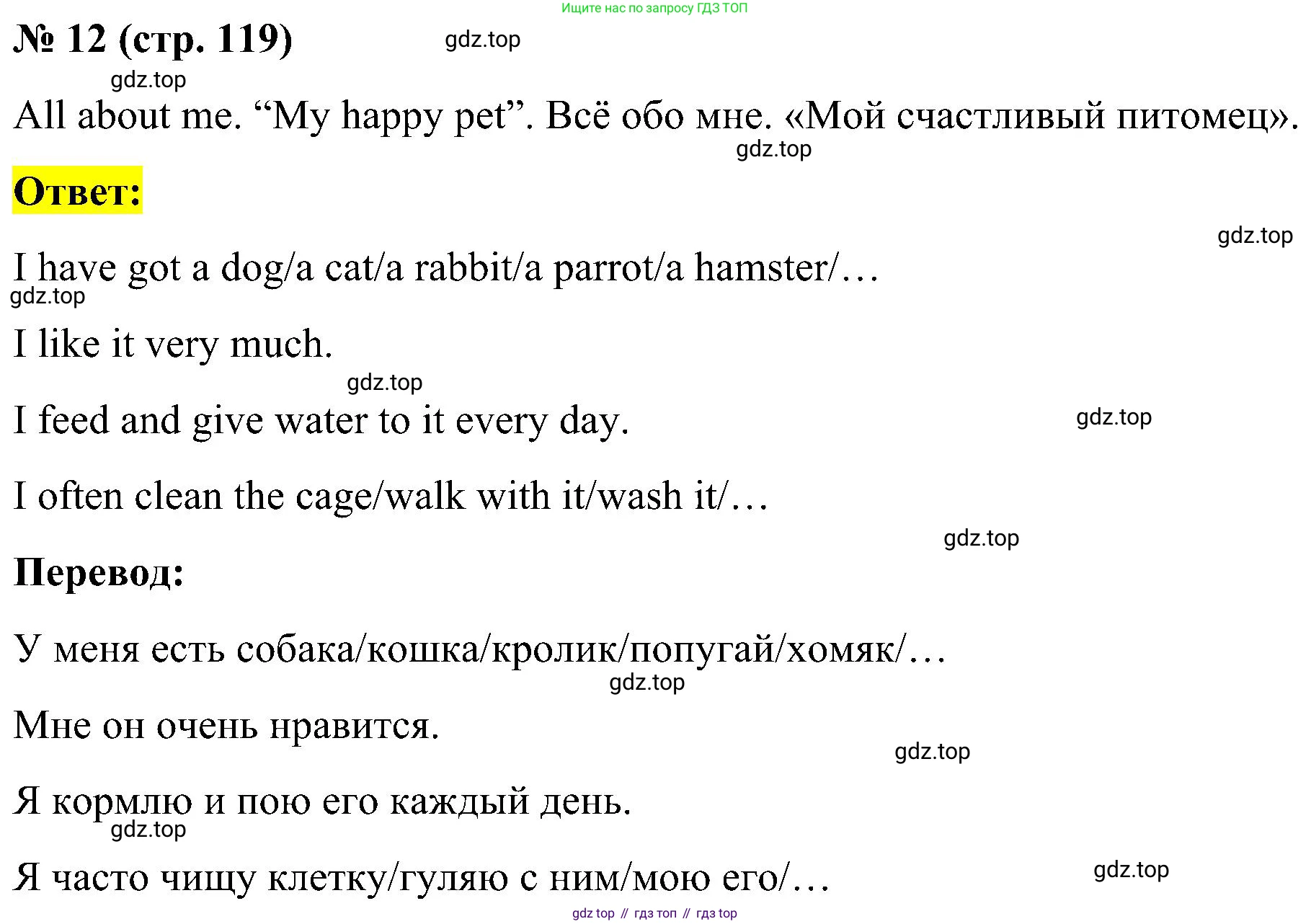 ГДЗ Английский язык (english), 3 класс рабочая тетрадь (activity book), авторы: Кузовлев Владимир Петрович (Kuzovlev Vladimir), Лапа Наталья Михайловна, Костина Ирина Павловна, Кузнецова Елена Вячеславовна, издательство Просвещение, Москва, 2023, страница 119, номер 12, Решение