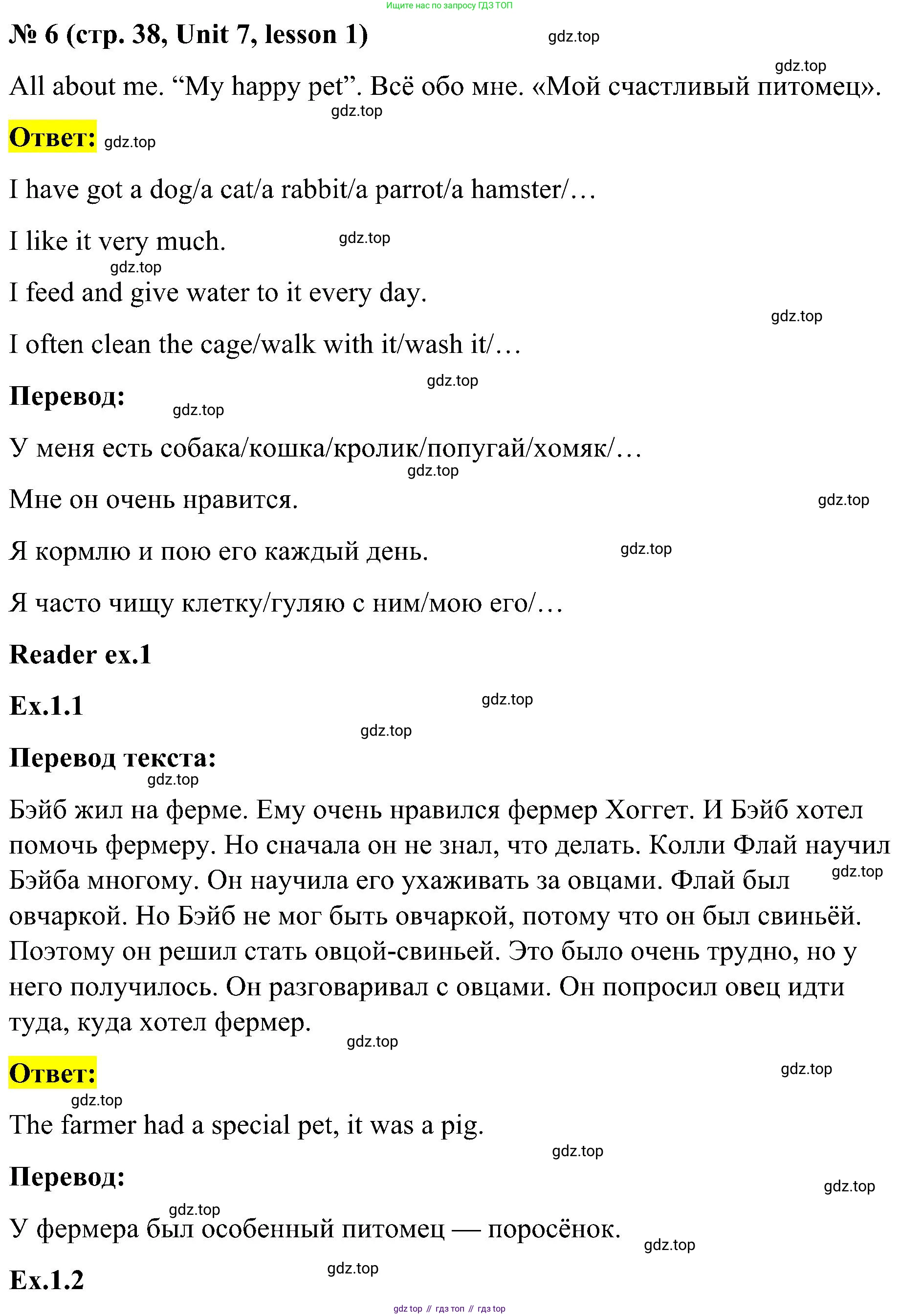 ГДЗ Английский язык (english), 3 класс Учебник, авторы: Кузовлев Владимир Петрович (Kuzovlev Vladimir), Лапа Наталья Михайловна, Костина Ирина Павловна, Кузнецова Елена Вячеславовна, издательство Просвещение, Москва, 2023, голубого цвета, Часть ( Part) 2, страница 38, номер 6, Решение