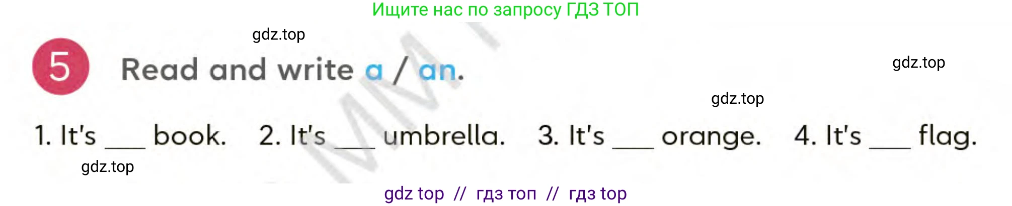 Английский язык (english), 3 класс Учебник (Student's book), авторы: Митчелл Гарольд (Mitchell Harold), Малгогианни Марилени (Malkogianni Marileni), Василиу Константина (Vasileiou Konstantina), издательство MM Publications, Алматы, 2024, зелёного цвета, страница 21, номер 5, Условие