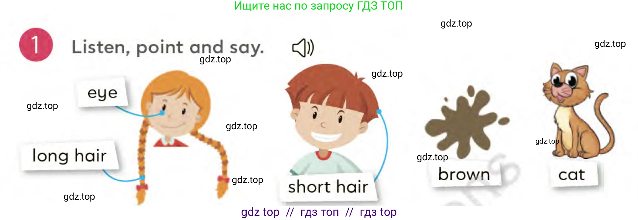Английский язык (english), 3 класс Учебник (Student's book), авторы: Митчелл Гарольд (Mitchell Harold), Малгогианни Марилени (Malkogianni Marileni), Василиу Константина (Vasileiou Konstantina), издательство MM Publications, Алматы, 2024, зелёного цвета, страница 36, номер 1, Условие