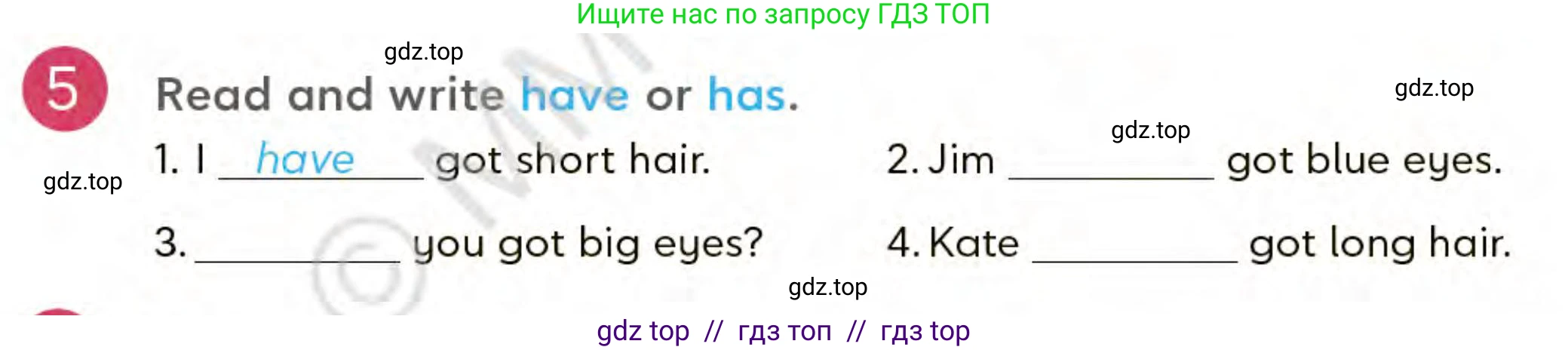 Английский язык (english), 3 класс Учебник (Student's book), авторы: Митчелл Гарольд (Mitchell Harold), Малгогианни Марилени (Malkogianni Marileni), Василиу Константина (Vasileiou Konstantina), издательство MM Publications, Алматы, 2024, зелёного цвета, страница 37, номер 5, Условие