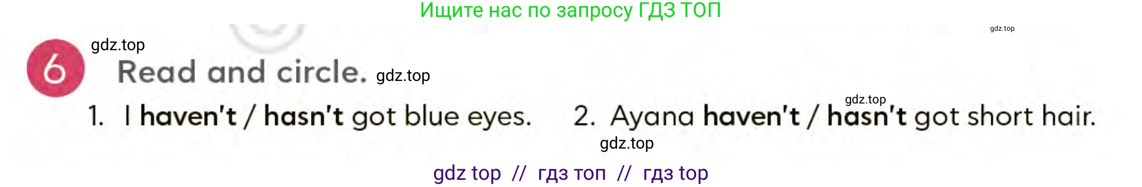 Английский язык (english), 3 класс Учебник (Student's book), авторы: Митчелл Гарольд (Mitchell Harold), Малгогианни Марилени (Malkogianni Marileni), Василиу Константина (Vasileiou Konstantina), издательство MM Publications, Алматы, 2024, зелёного цвета, страница 37, номер 6, Условие
