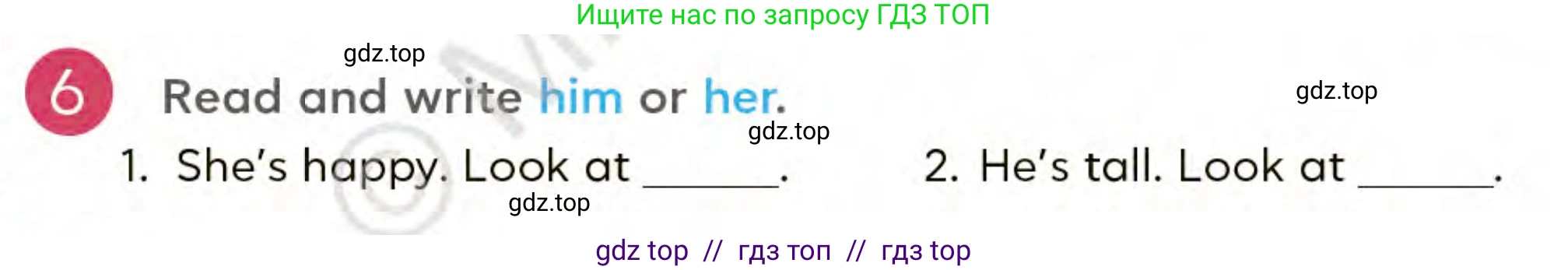 Английский язык (english), 3 класс Учебник (Student's book), авторы: Митчелл Гарольд (Mitchell Harold), Малгогианни Марилени (Malkogianni Marileni), Василиу Константина (Vasileiou Konstantina), издательство MM Publications, Алматы, 2024, зелёного цвета, страница 47, номер 6, Условие