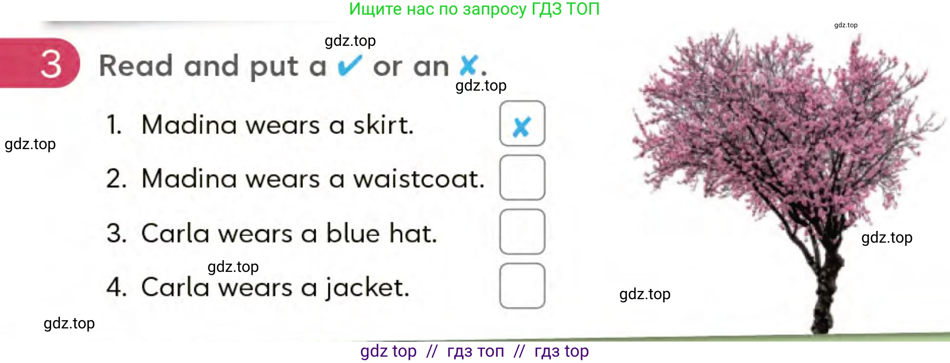 Английский язык (english), 3 класс Учебник (Student's book), авторы: Митчелл Гарольд (Mitchell Harold), Малгогианни Марилени (Malkogianni Marileni), Василиу Константина (Vasileiou Konstantina), издательство MM Publications, Алматы, 2024, зелёного цвета, страница 52, номер 3, Условие
