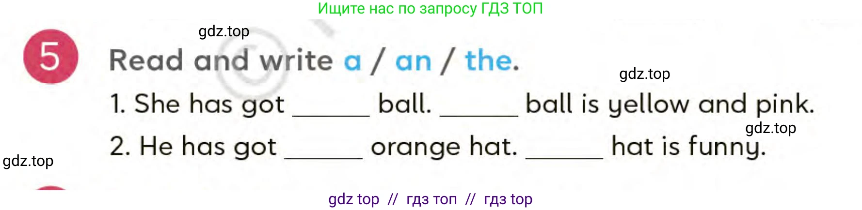 Английский язык (english), 3 класс Учебник (Student's book), авторы: Митчелл Гарольд (Mitchell Harold), Малгогианни Марилени (Malkogianni Marileni), Василиу Константина (Vasileiou Konstantina), издательство MM Publications, Алматы, 2024, зелёного цвета, страница 61, номер 5, Условие