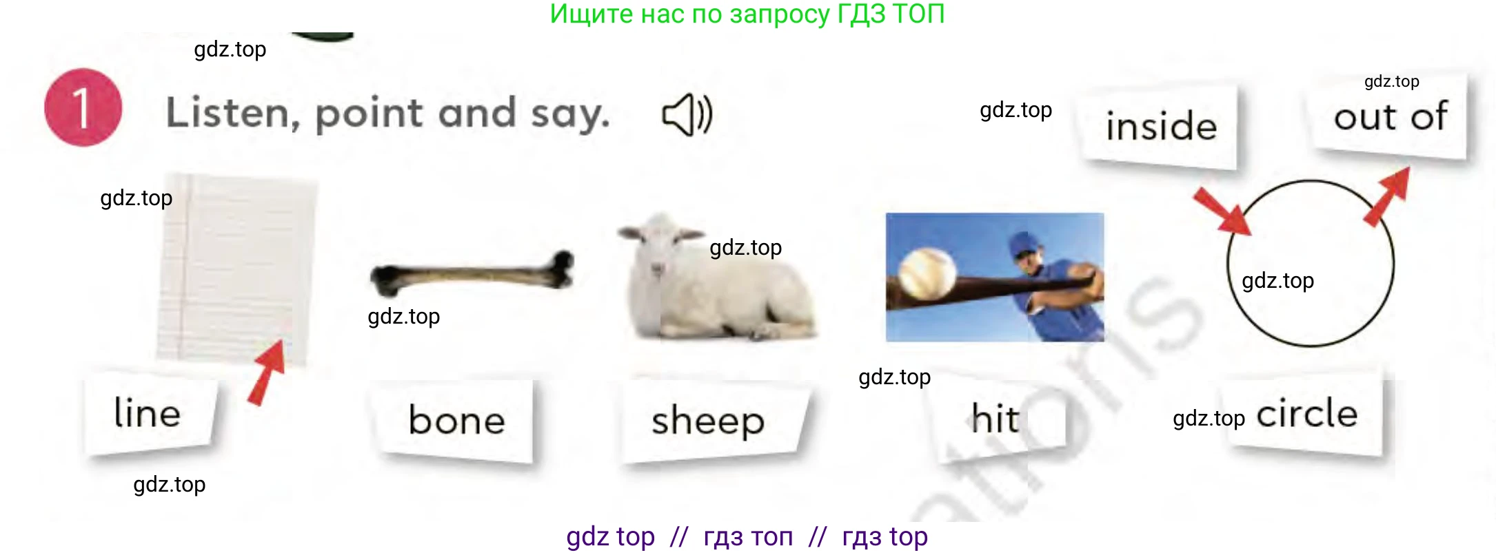 Английский язык (english), 3 класс Учебник (Student's book), авторы: Митчелл Гарольд (Mitchell Harold), Малгогианни Марилени (Malkogianni Marileni), Василиу Константина (Vasileiou Konstantina), издательство MM Publications, Алматы, 2024, зелёного цвета, страница 66, номер 1, Условие