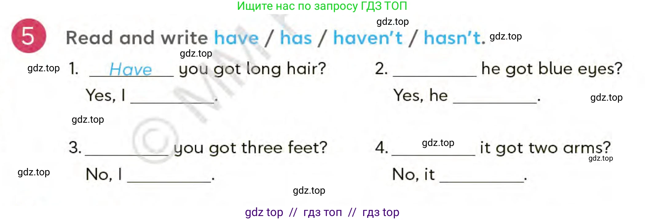 Английский язык (english), 3 класс Учебник (Student's book), авторы: Митчелл Гарольд (Mitchell Harold), Малгогианни Марилени (Malkogianni Marileni), Василиу Константина (Vasileiou Konstantina), издательство MM Publications, Алматы, 2024, зелёного цвета, страница 69, номер 5, Условие