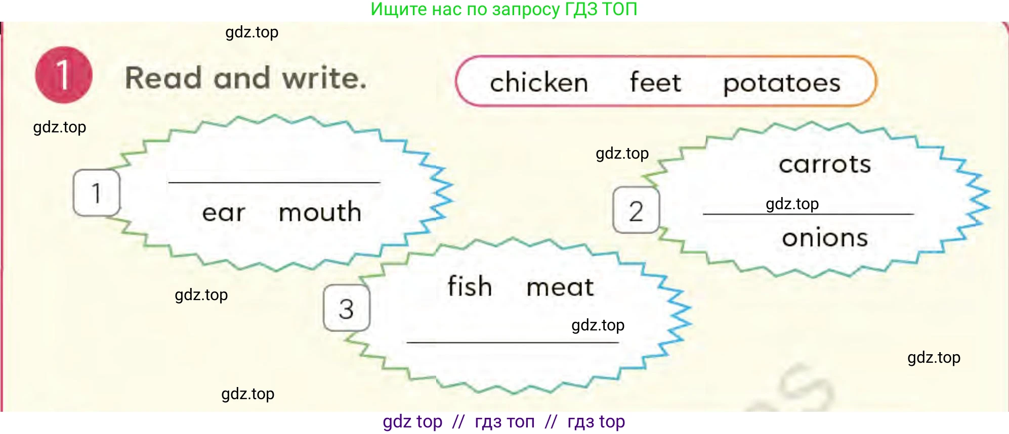 Английский язык (english), 3 класс Учебник (Student's book), авторы: Митчелл Гарольд (Mitchell Harold), Малгогианни Марилени (Malkogianni Marileni), Василиу Константина (Vasileiou Konstantina), издательство MM Publications, Алматы, 2024, зелёного цвета, страница 77, номер 1, Условие