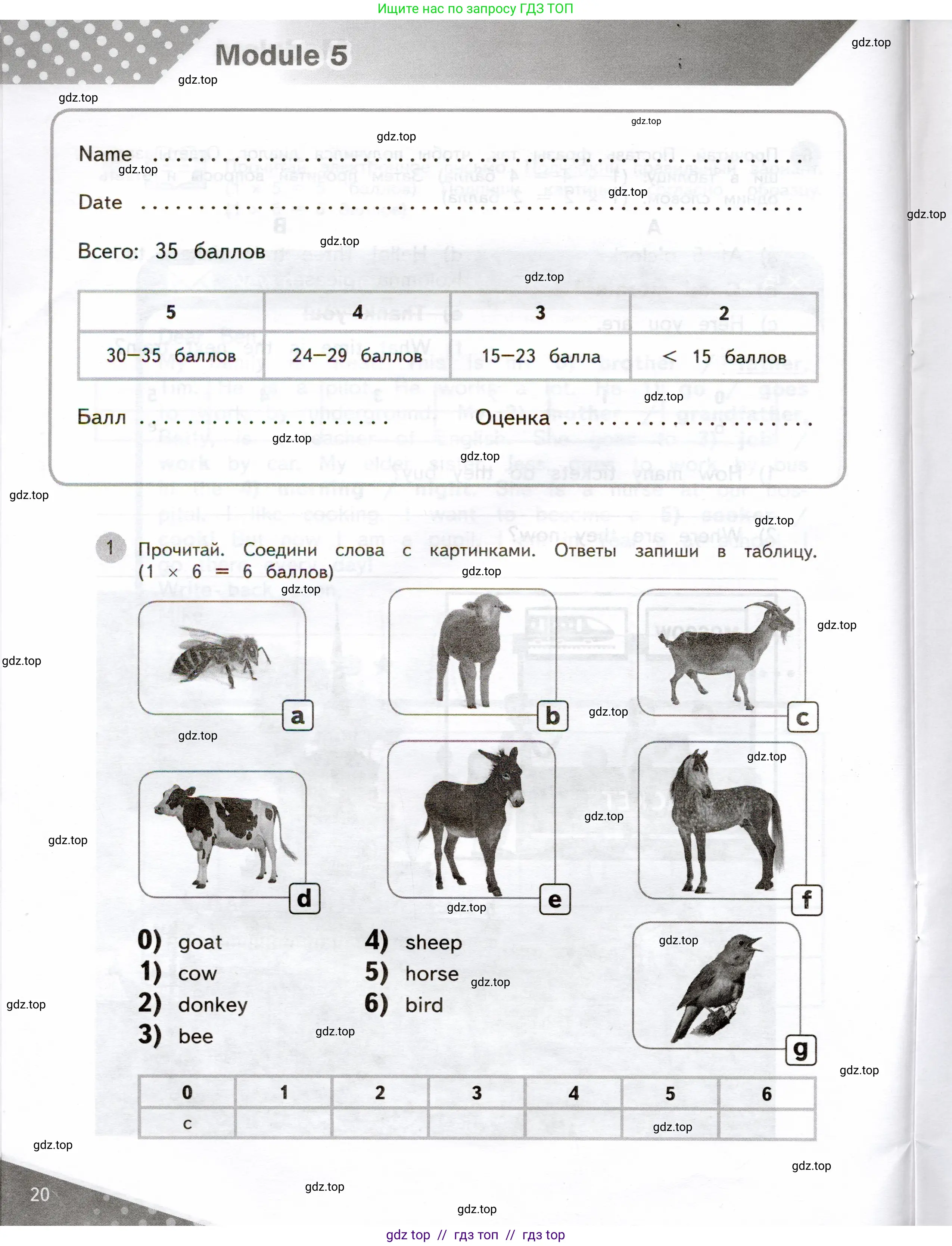 Английский язык (english), 3 класс Контрольные задания, автор: Покидова Анастасия Дмитриевна (Pokidova Anastasiya), издательство Просвещение, Москва, 2023, серого цвета, страница 20