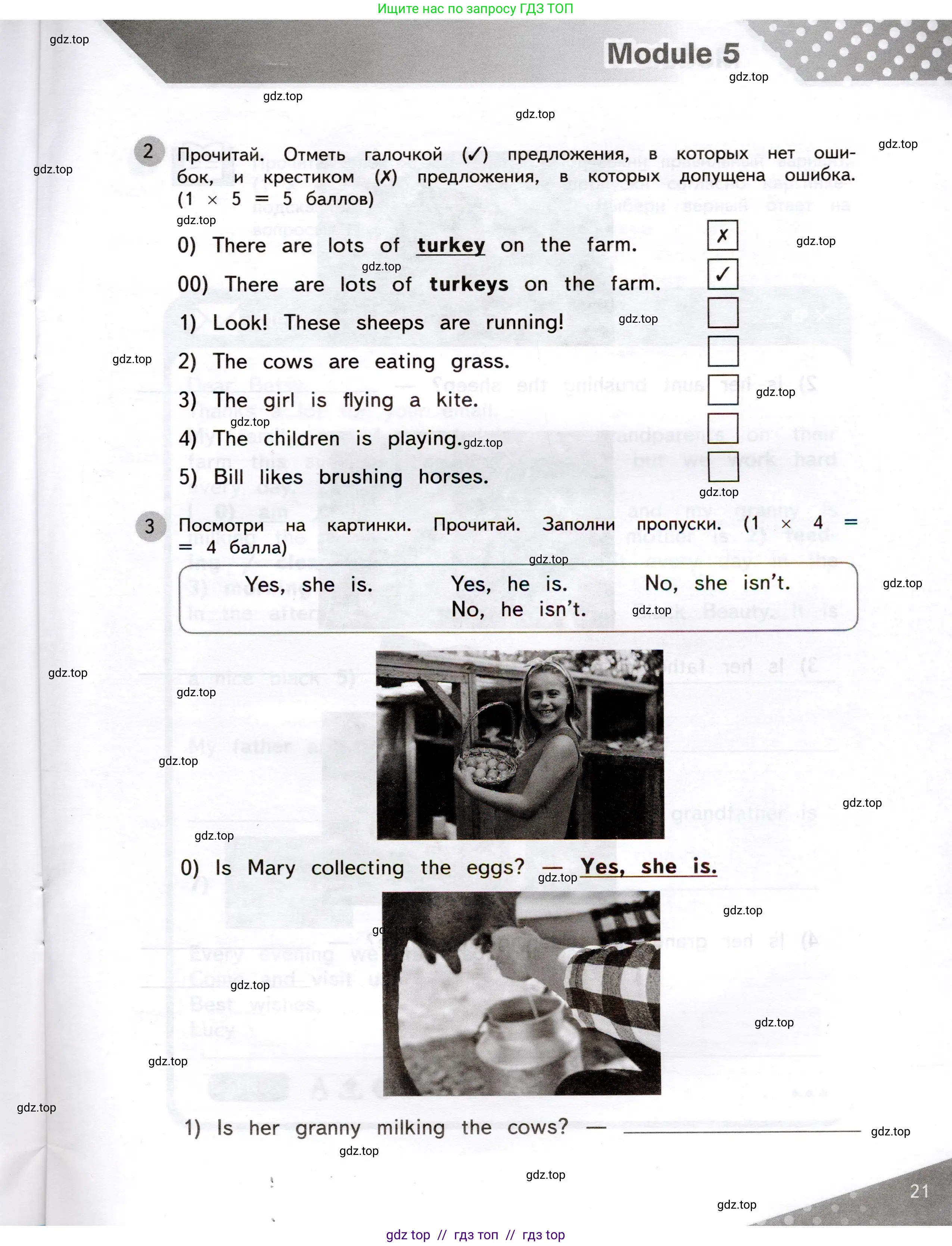 Английский язык (english), 3 класс Контрольные задания, автор: Покидова Анастасия Дмитриевна (Pokidova Anastasiya), издательство Просвещение, Москва, 2023, серого цвета, страница 21
