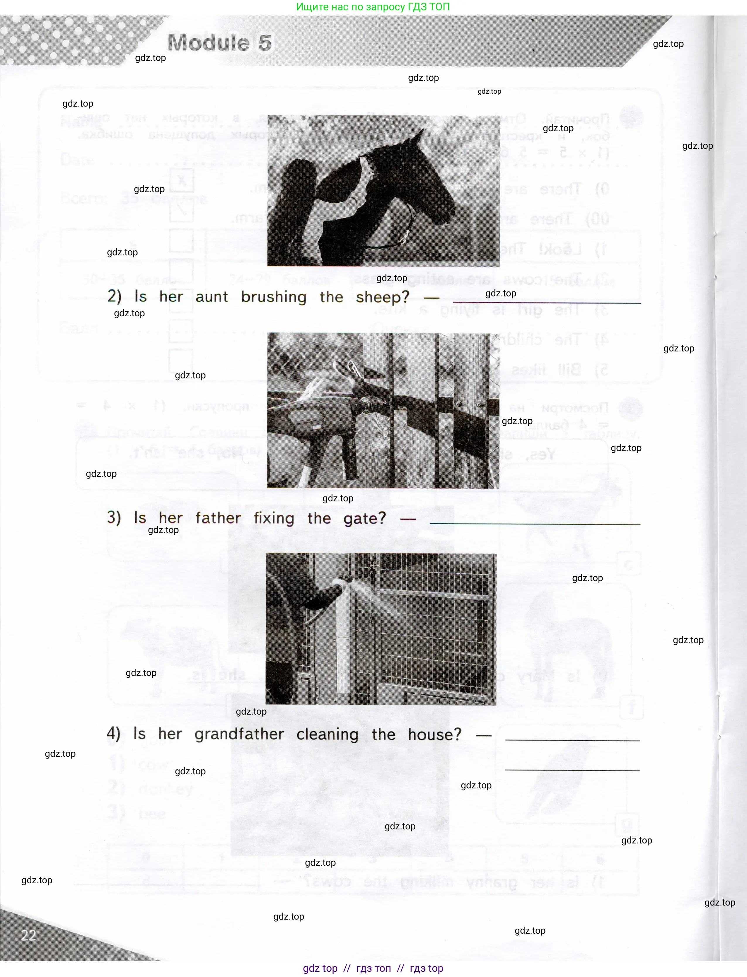 Английский язык (english), 3 класс Контрольные задания, автор: Покидова Анастасия Дмитриевна (Pokidova Anastasiya), издательство Просвещение, Москва, 2023, серого цвета, страница 22