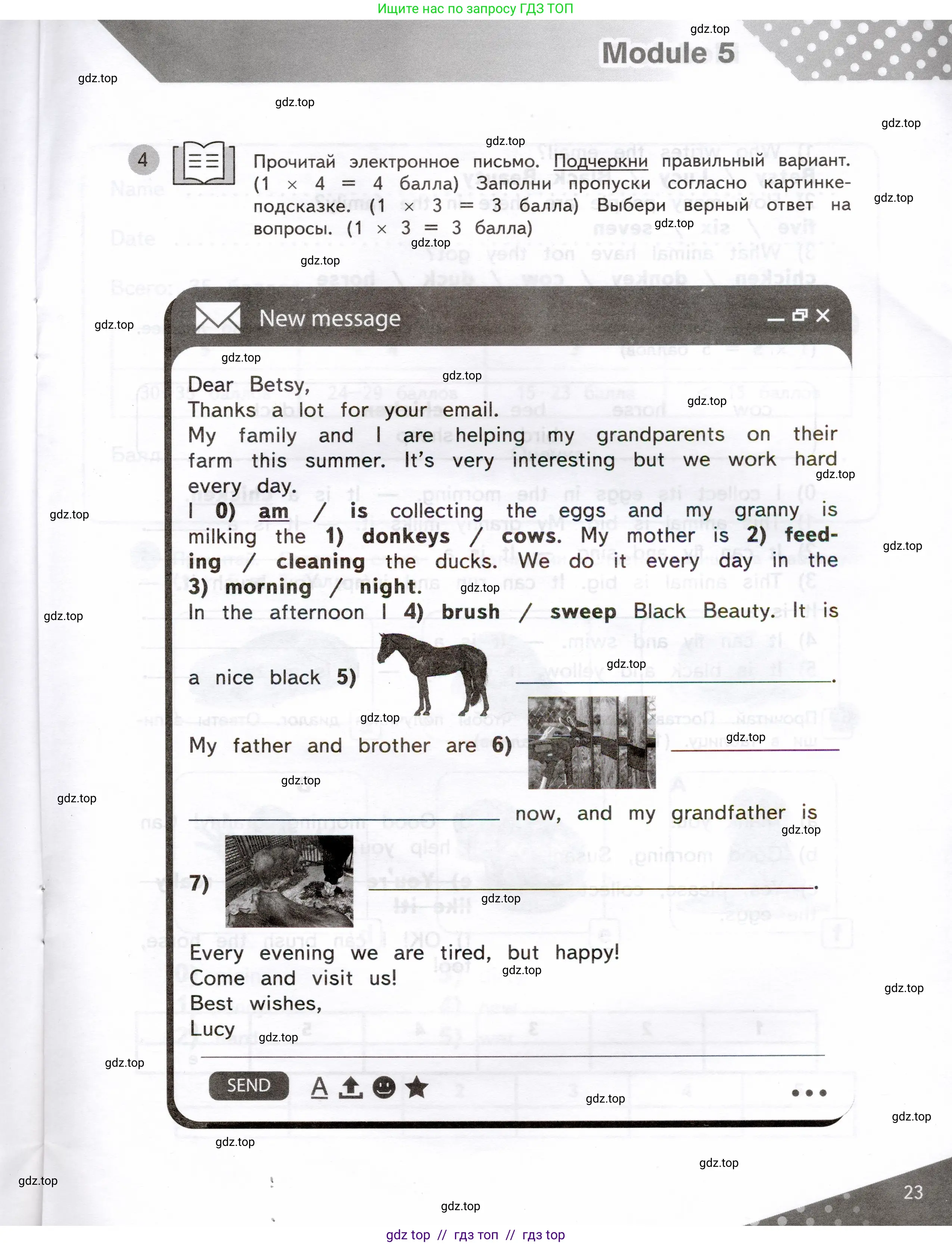 Английский язык (english), 3 класс Контрольные задания, автор: Покидова Анастасия Дмитриевна (Pokidova Anastasiya), издательство Просвещение, Москва, 2023, серого цвета, страница 23