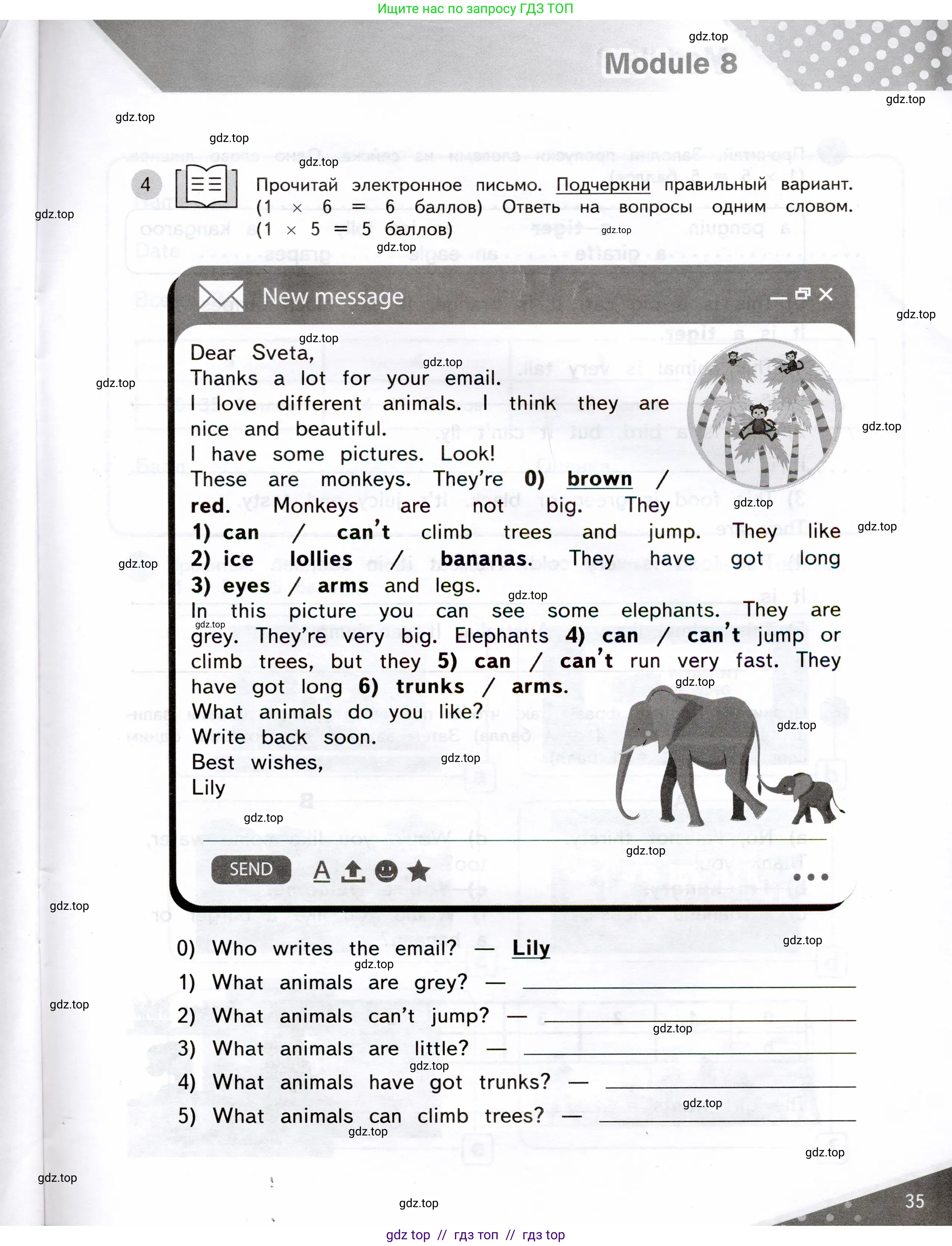 Английский язык (english), 3 класс Контрольные задания, автор: Покидова Анастасия Дмитриевна (Pokidova Anastasiya), издательство Просвещение, Москва, 2023, серого цвета, страница 35