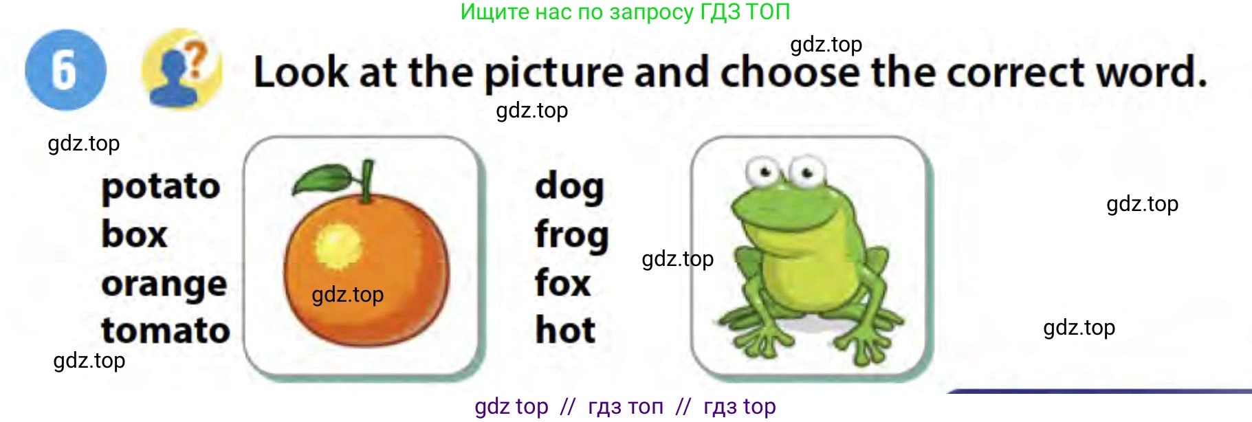 Английский язык (english), 3 класс Учебник (Student's book), авторы: Пучта Херберт (Puchta Herbert), Льюис-Джонс Питер (Lewis-Jones Peter), Гернгросс Гюнтер (Gerngross Günter), издательство Cambridge University Press, Алматы, 2022, зелёного цвета, страница 83, номер 6, Условие