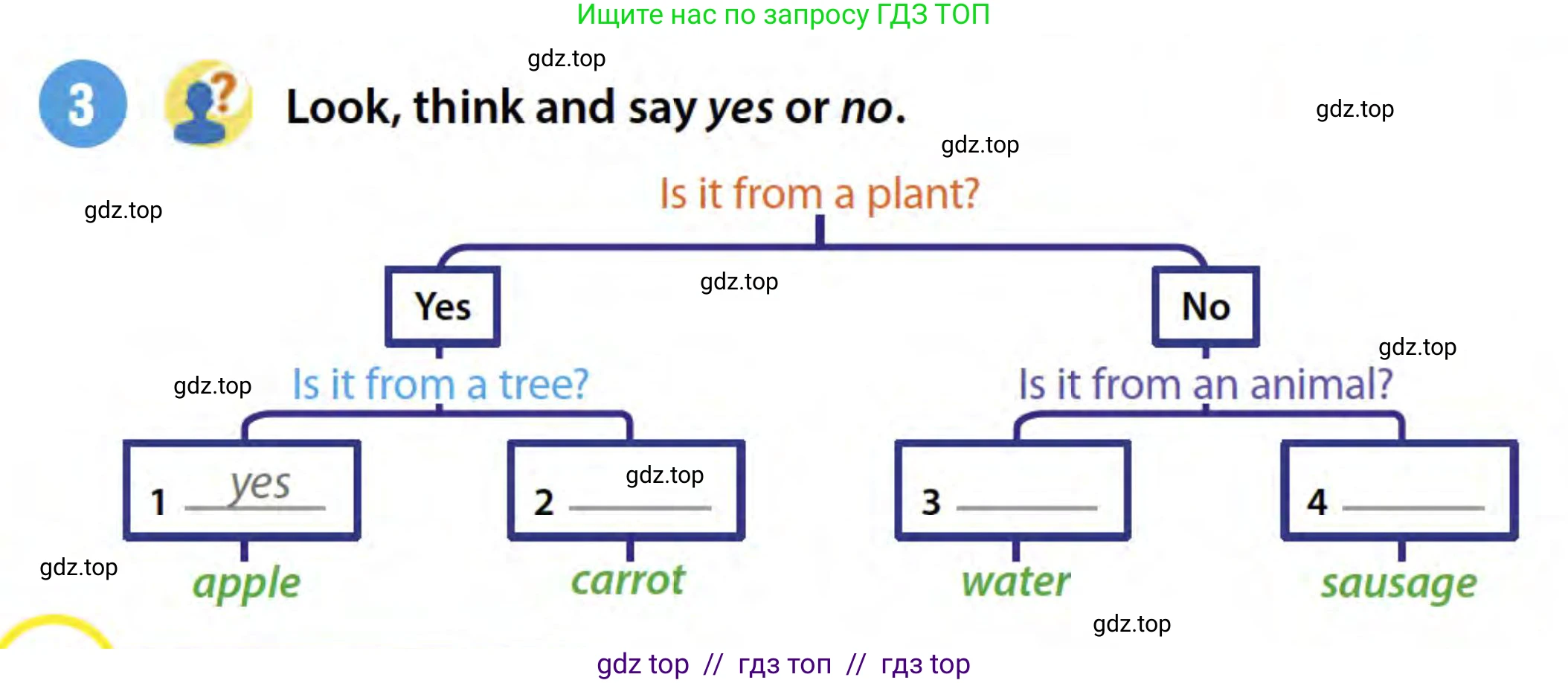 Английский язык (english), 3 класс Учебник (Student's book), авторы: Пучта Херберт (Puchta Herbert), Льюис-Джонс Питер (Lewis-Jones Peter), Гернгросс Гюнтер (Gerngross Günter), издательство Cambridge University Press, Алматы, 2022, зелёного цвета, страница 86, номер 3, Условие