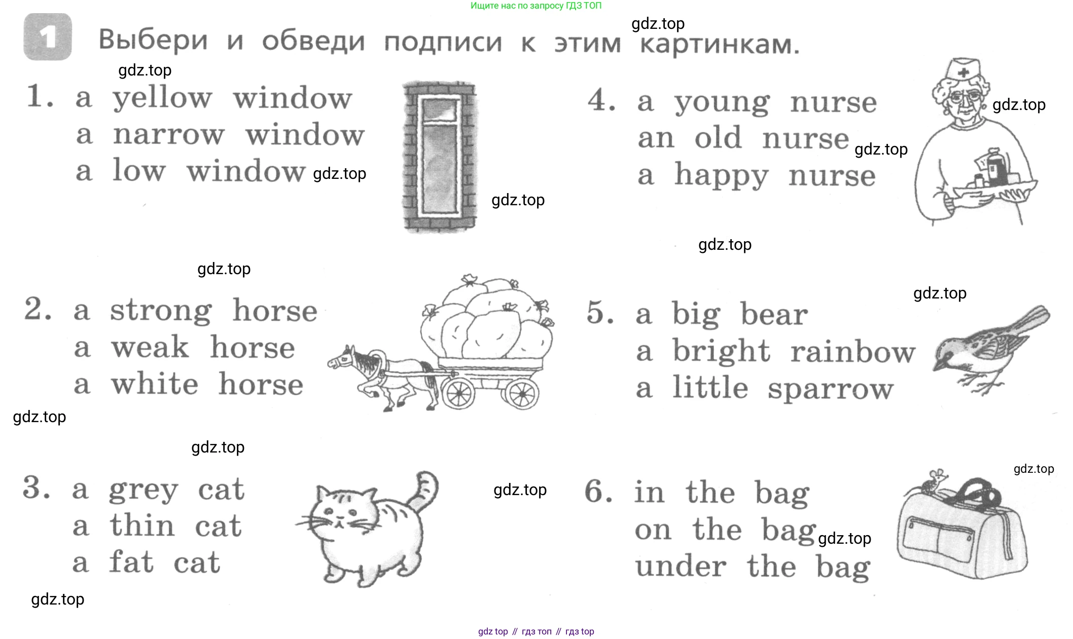 Английский язык (english), 3 класс Контрольные работы, авторы: Афанасьева Ольга Васильевна (Afanasyeva Olga), Михеева Ирина Владимировна (Mikheeva Irina), Баранова Ксения Михайловна (Baranova Ksenia), издательство Дрофа, Москва, 2018 - 2022, зелёного цвета, страница 17, номер 1, Условие