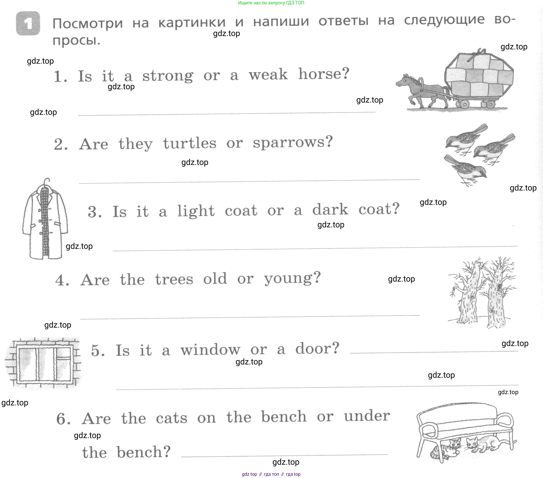 Английский язык (english), 3 класс Контрольные работы, авторы: Афанасьева Ольга Васильевна (Afanasyeva Olga), Михеева Ирина Владимировна (Mikheeva Irina), Баранова Ксения Михайловна (Baranova Ksenia), издательство Дрофа, Москва, 2018 - 2022, зелёного цвета, страница 22, номер 1, Условие