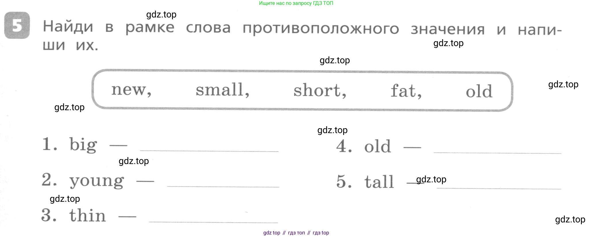 Английский язык (english), 3 класс Контрольные работы, авторы: Афанасьева Ольга Васильевна (Afanasyeva Olga), Михеева Ирина Владимировна (Mikheeva Irina), Баранова Ксения Михайловна (Baranova Ksenia), издательство Дрофа, Москва, 2018 - 2022, зелёного цвета, страница 39, номер 5, Условие