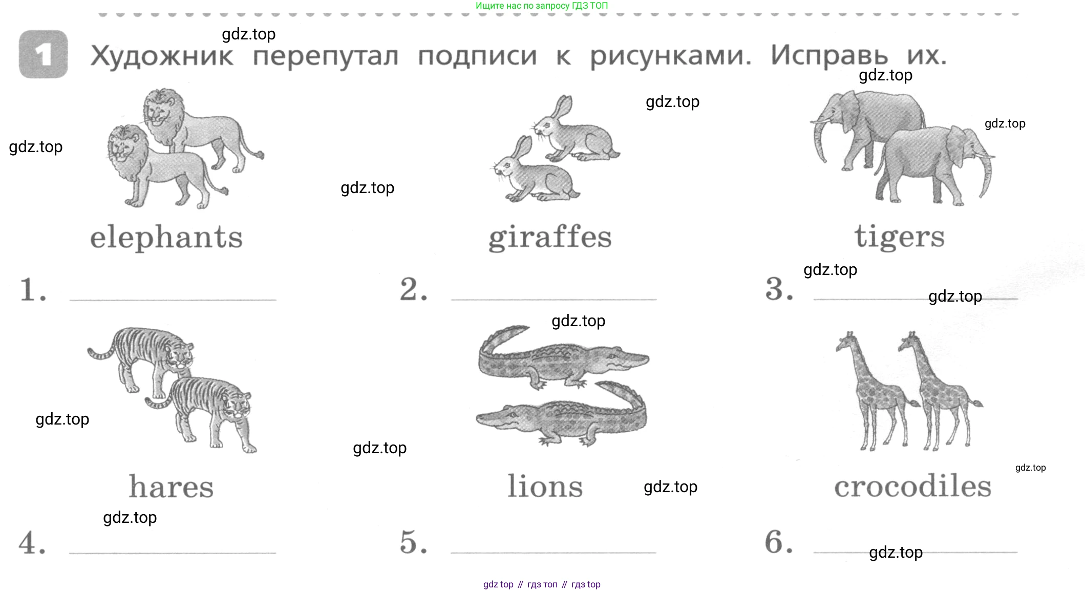 Английский язык (english), 3 класс Контрольные работы, авторы: Афанасьева Ольга Васильевна (Afanasyeva Olga), Михеева Ирина Владимировна (Mikheeva Irina), Баранова Ксения Михайловна (Baranova Ksenia), издательство Дрофа, Москва, 2018 - 2022, зелёного цвета, страница 63, номер 1, Условие