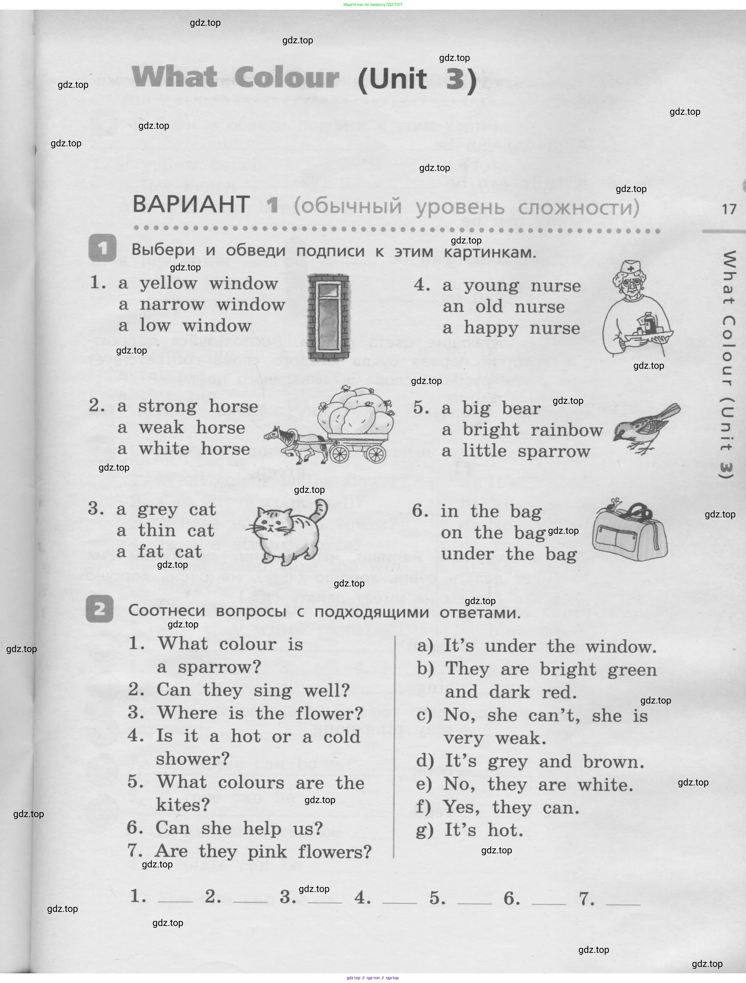 Английский язык (english), 3 класс Контрольные работы, авторы: Афанасьева Ольга Васильевна (Afanasyeva Olga), Михеева Ирина Владимировна (Mikheeva Irina), Баранова Ксения Михайловна (Baranova Ksenia), издательство Дрофа, Москва, 2018 - 2022, зелёного цвета, страница 17