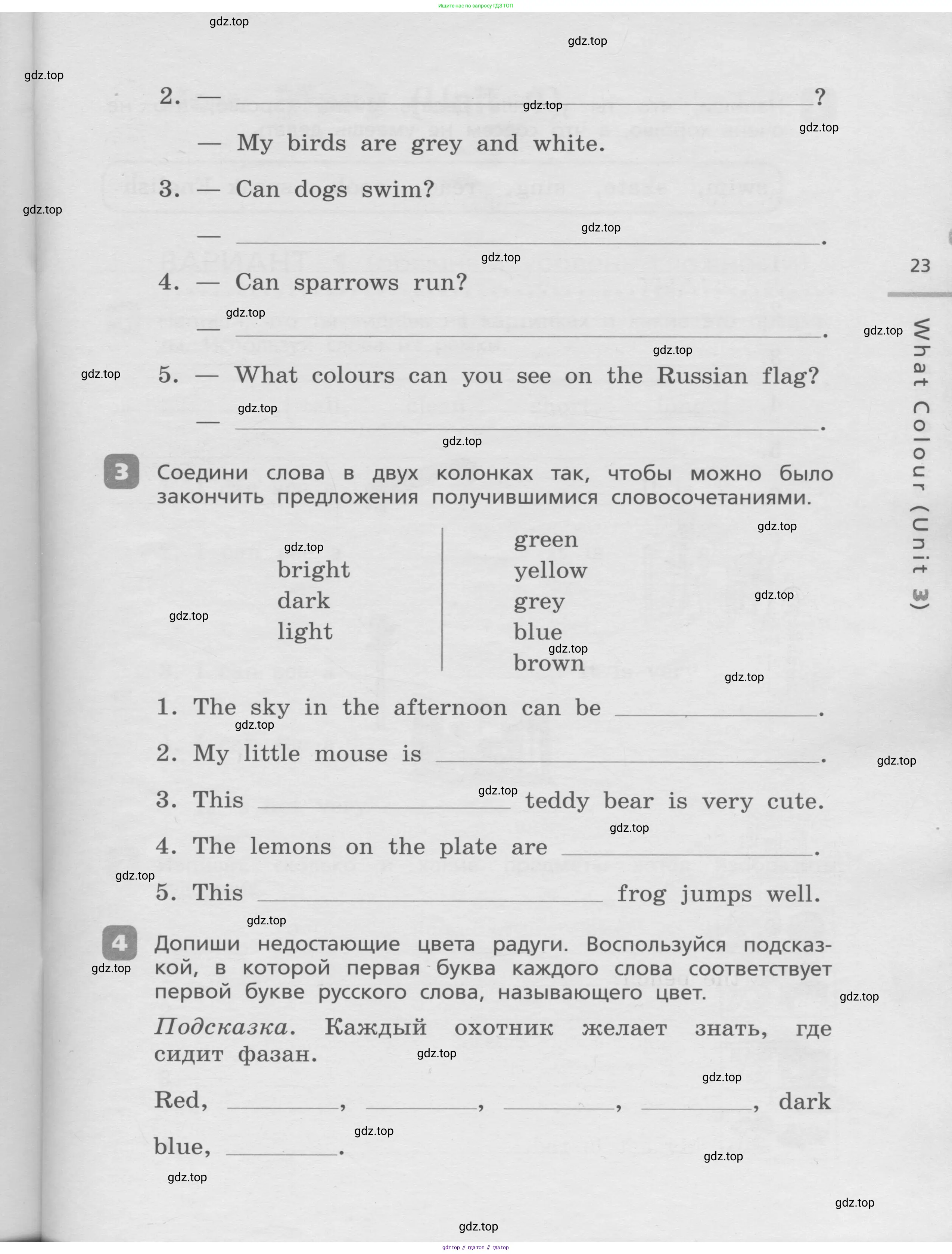 Английский язык (english), 3 класс Контрольные работы, авторы: Афанасьева Ольга Васильевна (Afanasyeva Olga), Михеева Ирина Владимировна (Mikheeva Irina), Баранова Ксения Михайловна (Baranova Ksenia), издательство Дрофа, Москва, 2018 - 2022, зелёного цвета, страница 23