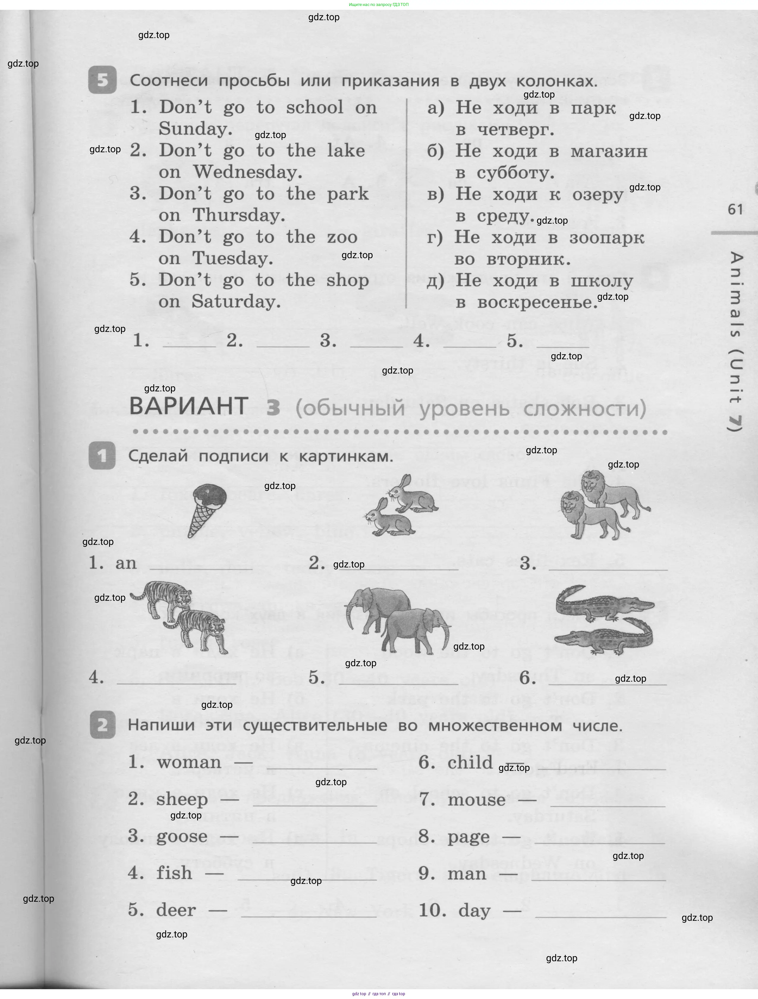 Английский язык (english), 3 класс Контрольные работы, авторы: Афанасьева Ольга Васильевна (Afanasyeva Olga), Михеева Ирина Владимировна (Mikheeva Irina), Баранова Ксения Михайловна (Baranova Ksenia), издательство Дрофа, Москва, 2018 - 2022, зелёного цвета, страница 61