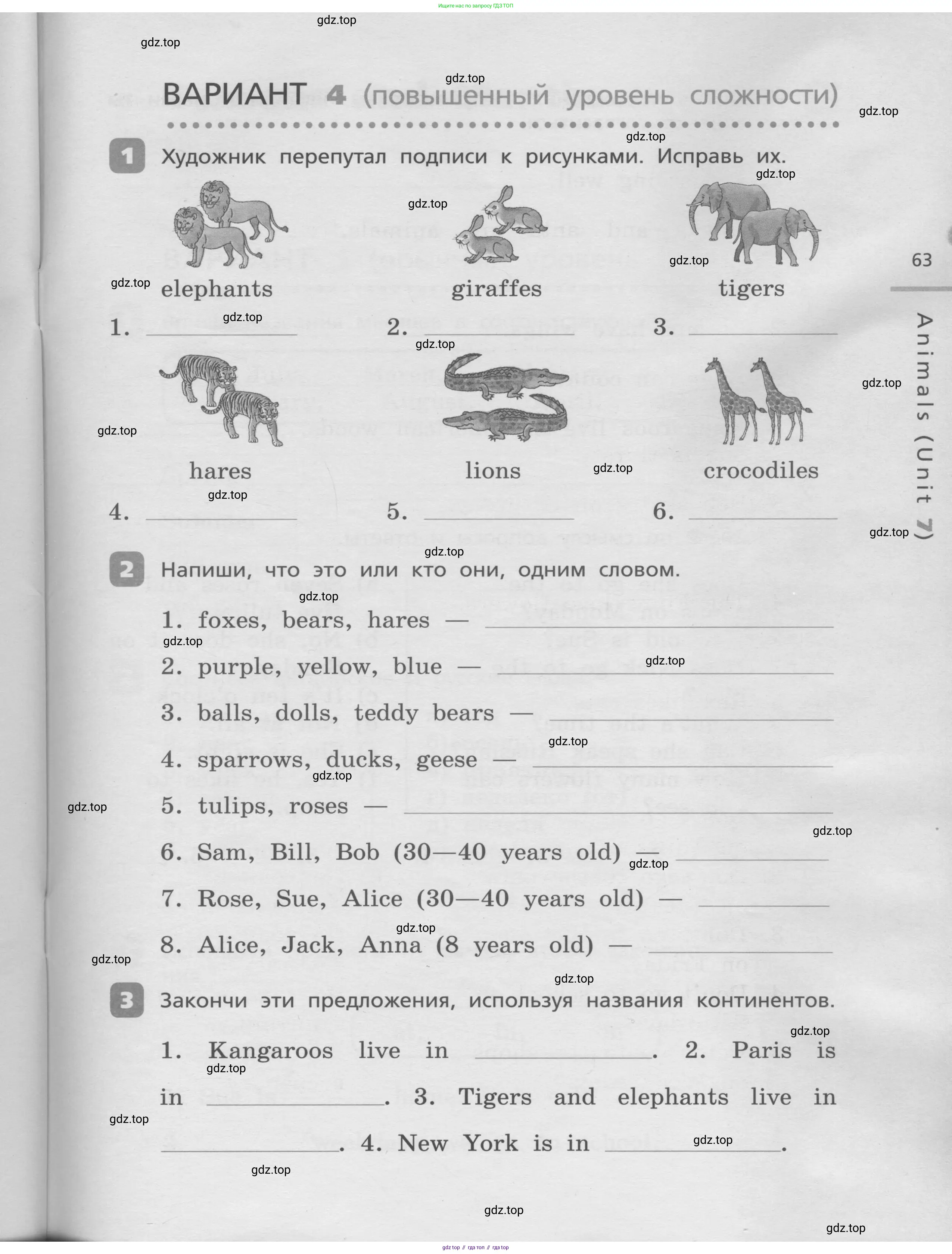 Английский язык (english), 3 класс Контрольные работы, авторы: Афанасьева Ольга Васильевна (Afanasyeva Olga), Михеева Ирина Владимировна (Mikheeva Irina), Баранова Ксения Михайловна (Baranova Ksenia), издательство Дрофа, Москва, 2018 - 2022, зелёного цвета, страница 63
