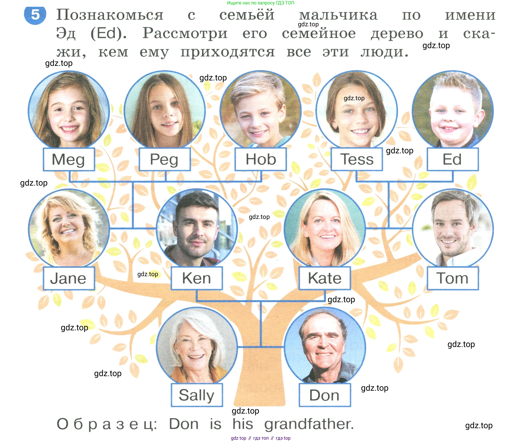 ГДЗ Английский язык (english), 3 класс Учебник, авторы: Афанасьева Ольга Васильевна (Afanasyeva Olga), Баранова Ксения Михайловна (Baranova Ksenia), Михеева Ирина Владимировна (Mikheeva Irina), издательство Просвещение, Москва, 2023, зелёного цвета, Часть 1, страница 12, номер 5, Условие