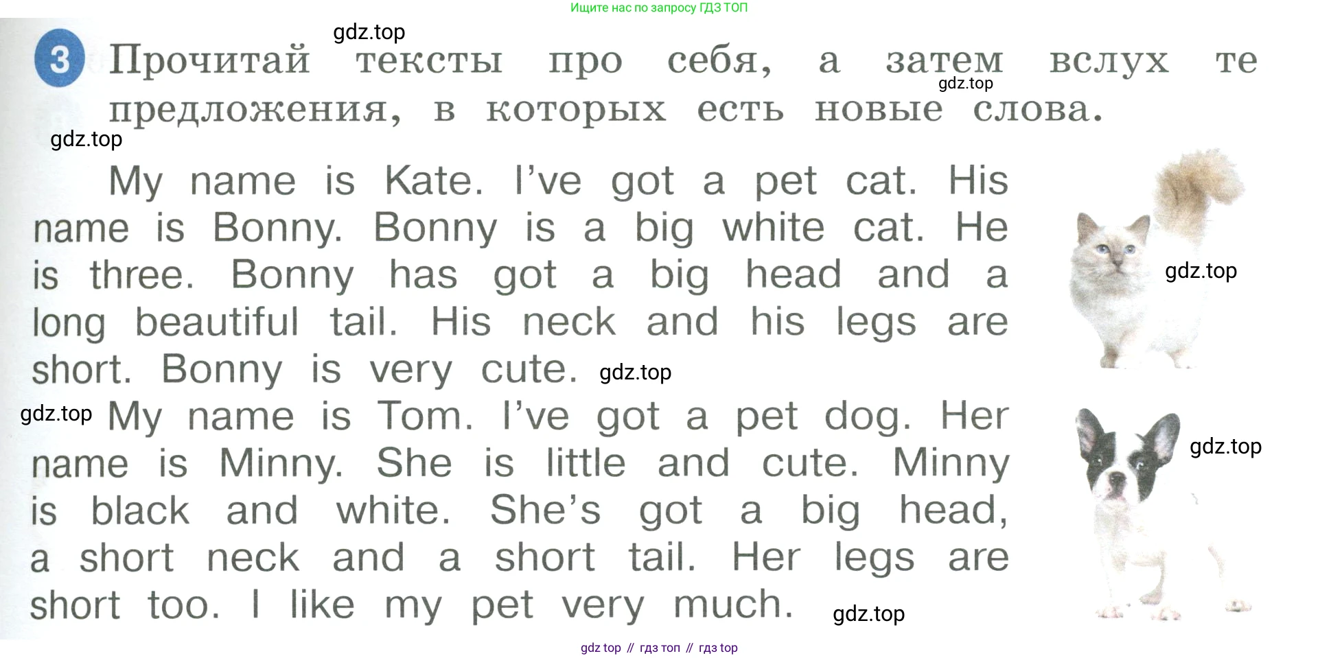 ГДЗ Английский язык (english), 3 класс Учебник, авторы: Афанасьева Ольга Васильевна (Afanasyeva Olga), Баранова Ксения Михайловна (Baranova Ksenia), Михеева Ирина Владимировна (Mikheeva Irina), издательство Просвещение, Москва, 2023, зелёного цвета, Часть 1, страница 19, номер 3, Условие