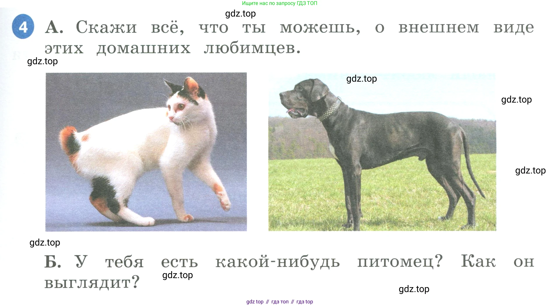 ГДЗ Английский язык (english), 3 класс Учебник, авторы: Афанасьева Ольга Васильевна (Afanasyeva Olga), Баранова Ксения Михайловна (Baranova Ksenia), Михеева Ирина Владимировна (Mikheeva Irina), издательство Просвещение, Москва, 2023, зелёного цвета, Часть 1, страница 19, номер 4, Условие
