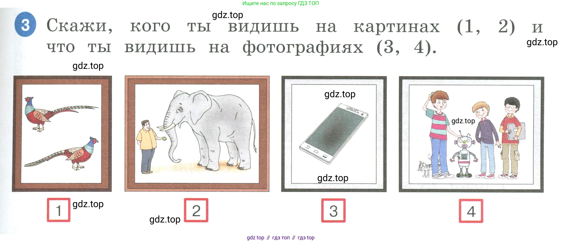 ГДЗ Английский язык (english), 3 класс Учебник, авторы: Афанасьева Ольга Васильевна (Afanasyeva Olga), Баранова Ксения Михайловна (Baranova Ksenia), Михеева Ирина Владимировна (Mikheeva Irina), издательство Просвещение, Москва, 2023, зелёного цвета, Часть 1, страница 59, номер 3, Условие