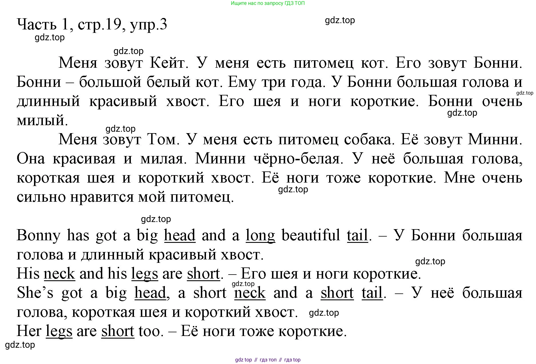ГДЗ Английский язык (english), 3 класс Учебник, авторы: Афанасьева Ольга Васильевна (Afanasyeva Olga), Баранова Ксения Михайловна (Baranova Ksenia), Михеева Ирина Владимировна (Mikheeva Irina), издательство Просвещение, Москва, 2023, зелёного цвета, Часть 1, страница 19, номер 3, Решение