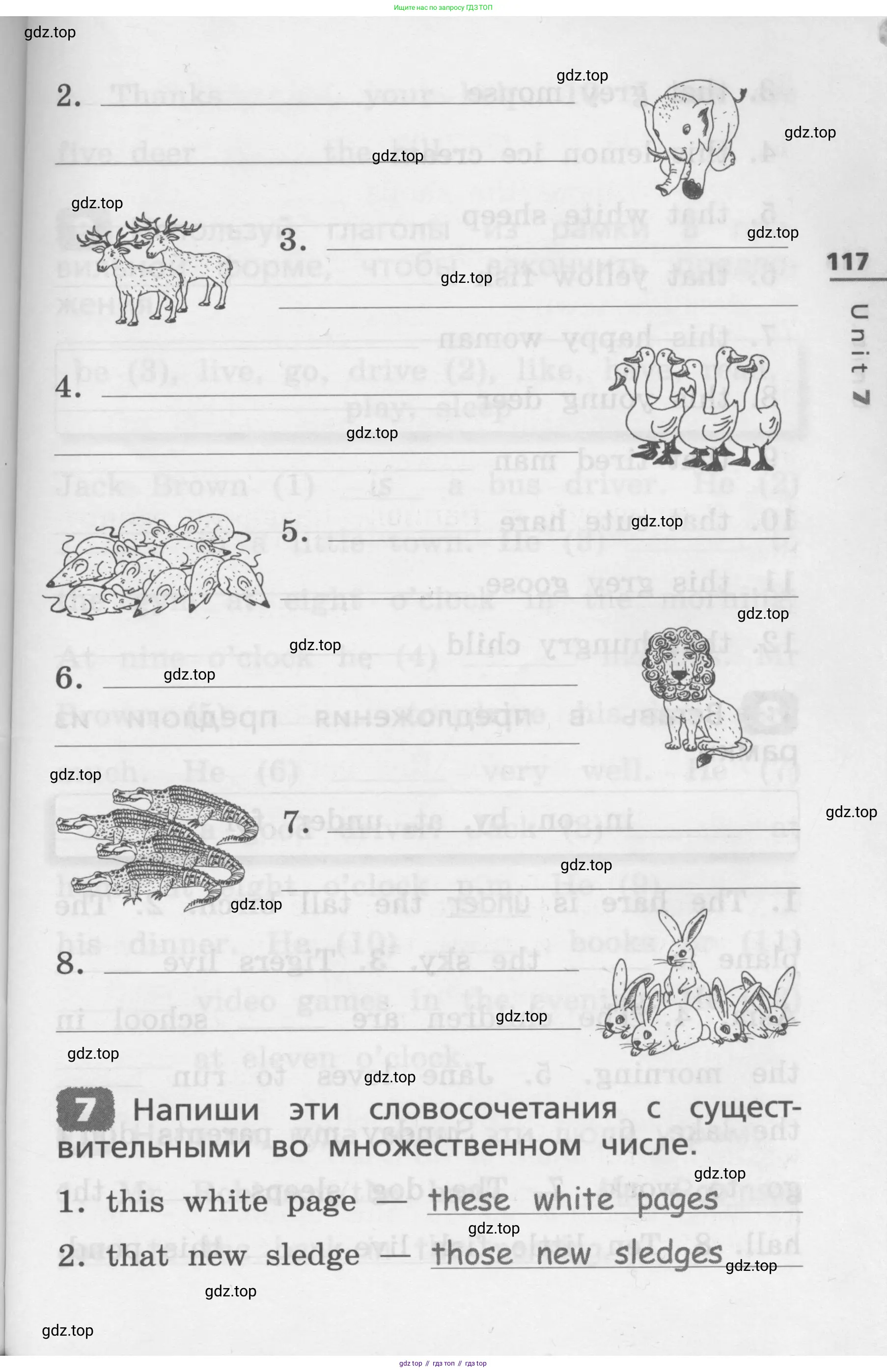 Английский язык (english), 3 класс Лексико-грамматический практикум, авторы: Афанасьева Ольга Васильевна (Afanasyeva Olga), Михеева Ирина Владимировна (Mikheeva Irina), Сьянов Александр Валерьевич, издательство Дрофа, Москва, 2017, зелёного цвета, страница 117