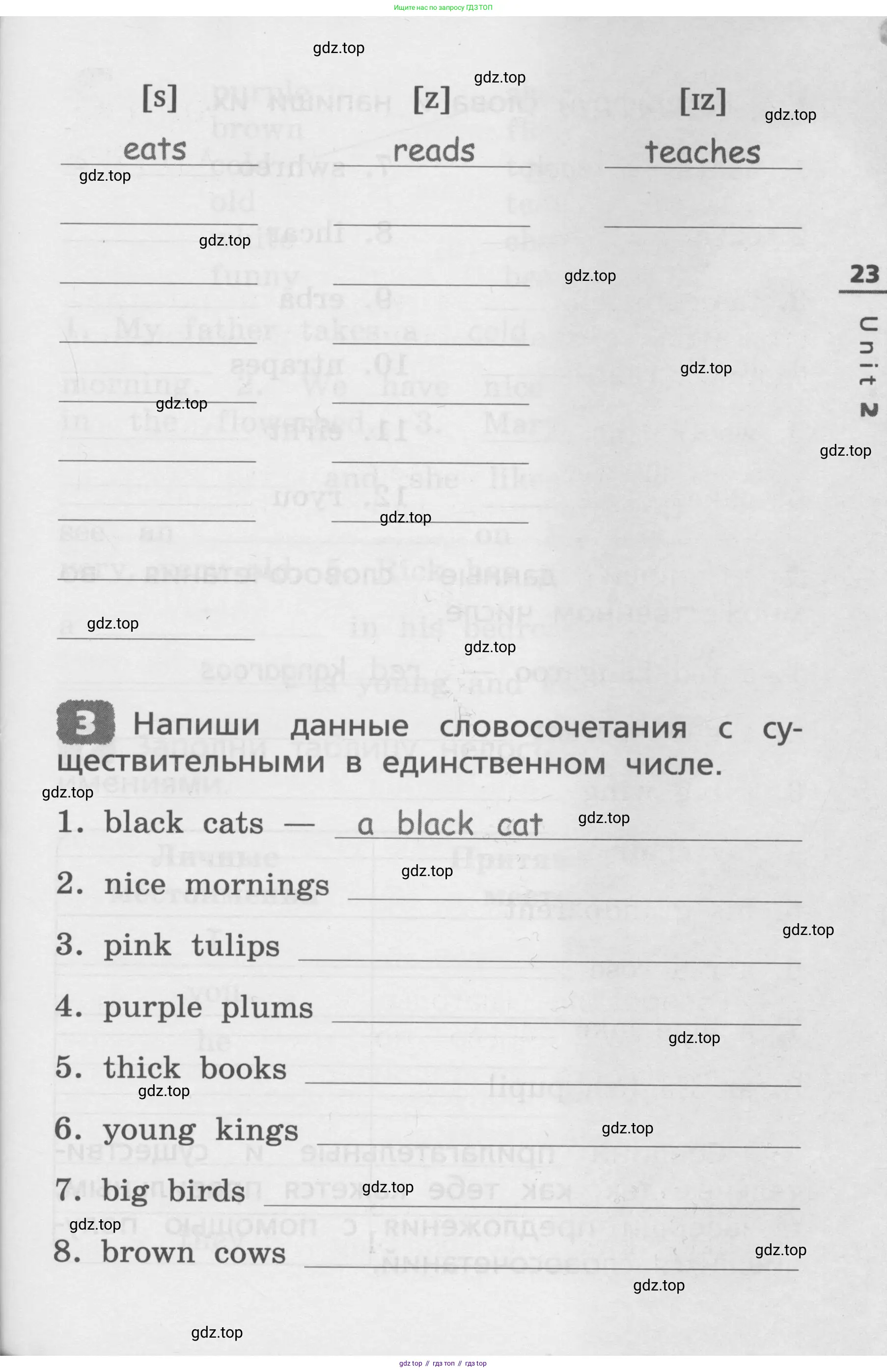 Английский язык (english), 3 класс Лексико-грамматический практикум, авторы: Афанасьева Ольга Васильевна (Afanasyeva Olga), Михеева Ирина Владимировна (Mikheeva Irina), Сьянов Александр Валерьевич, издательство Дрофа, Москва, 2017, зелёного цвета, страница 23