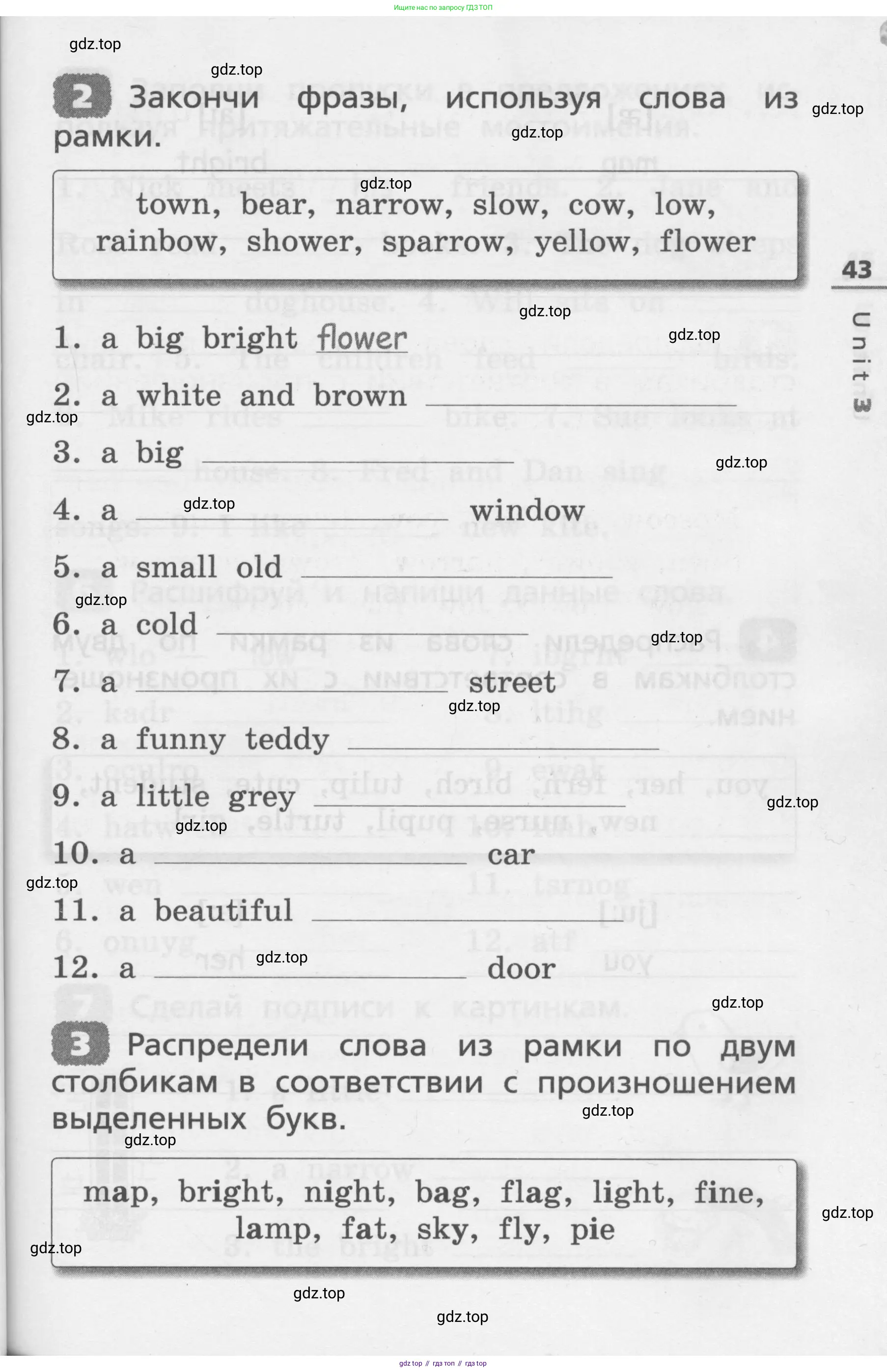 Английский язык (english), 3 класс Лексико-грамматический практикум, авторы: Афанасьева Ольга Васильевна (Afanasyeva Olga), Михеева Ирина Владимировна (Mikheeva Irina), Сьянов Александр Валерьевич, издательство Дрофа, Москва, 2017, зелёного цвета, страница 43